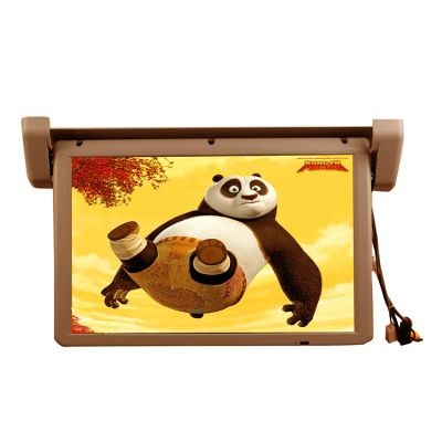 VT-R2206 Monitor plafon cu ecran de 22" HD 1080P